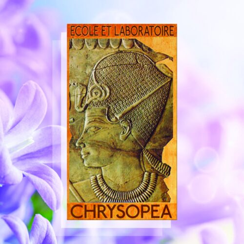 Chrysopea